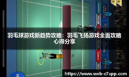 羽毛球游戏新趋势攻略：羽毛飞扬游戏全面攻略心得分享